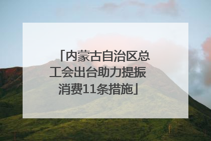 内蒙古自治区总工会出台助力提振消费11条措施