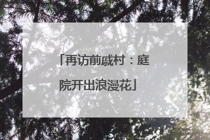 再访前戚村：庭院开出浪漫花