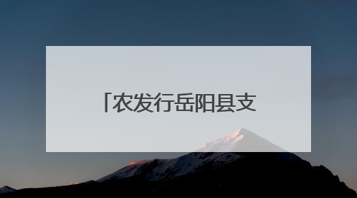 农发行岳阳县支行开展“6·14信用记录关爱日” 专题宣传活动