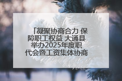 凝聚协商合力 保障职工权益 大通县举办2025年度职代会暨工资集体协商现场观摩交流活动