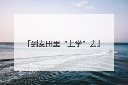 到麦田里“上学”去