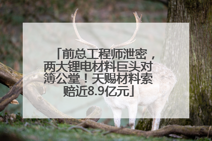 前总工程师泄密，两大锂电材料巨头对簿公堂！天赐材料索赔近8.9亿元