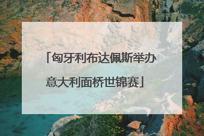 匈牙利布达佩斯举办意大利面桥世锦赛