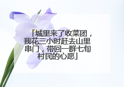 城里来了收菜团，我花三小时赶去山里串门，带回一群七旬村民的心愿