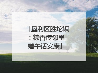 垦利区胜坨镇：粽香传邻里 端午话安康