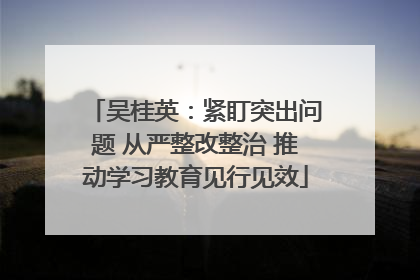 吴桂英：紧盯突出问题 从严整改整治 推动学习教育见行见效