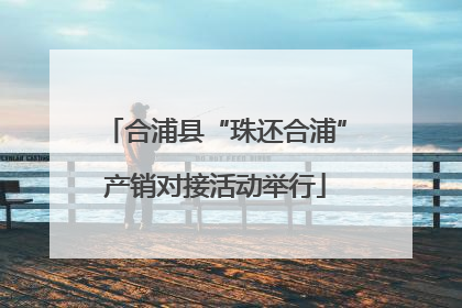 合浦县“珠还合浦”产销对接活动举行