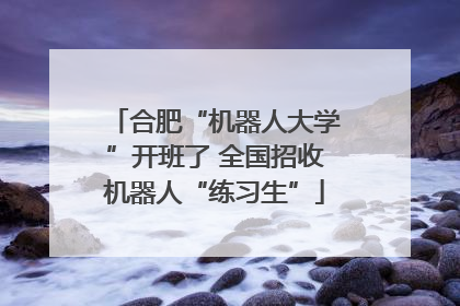 合肥“机器人大学”开班了 全国招收机器人“练习生”