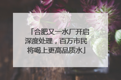 合肥又一水厂开启深度处理，百万市民将喝上更高品质水