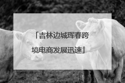 吉林边城珲春跨境电商发展迅速