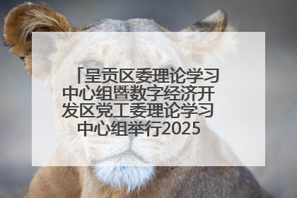 呈贡区委理论学习中心组暨数字经济开发区党工委理论学习中心组举行2025年第七次学习会议