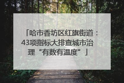哈市香坊区红旗街道：43项指标大排查城市治理“有数有温度”