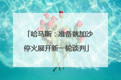 哈马斯：准备就加沙停火展开新一轮谈判