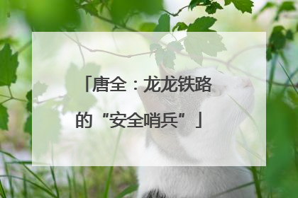 唐全：龙龙铁路的“安全哨兵”