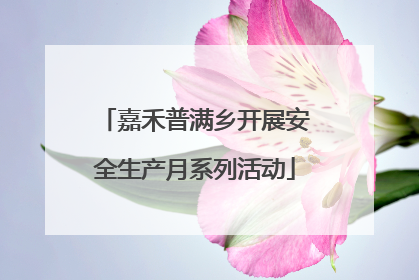 嘉禾普满乡开展安全生产月系列活动