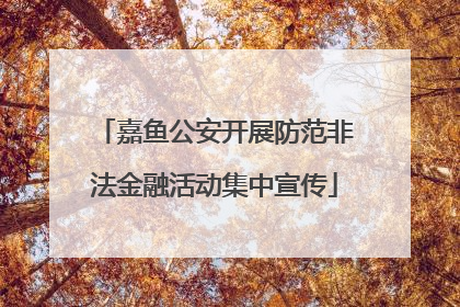 嘉鱼公安开展防范非法金融活动集中宣传