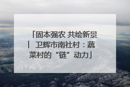 固本强农 共绘新景 ︳卫辉市南社村：蔬菜村的“链”动力