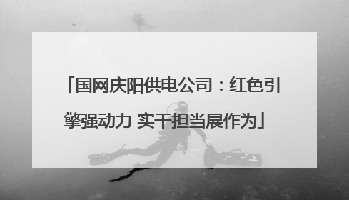 国网庆阳供电公司：红色引擎强动力 实干担当展作为