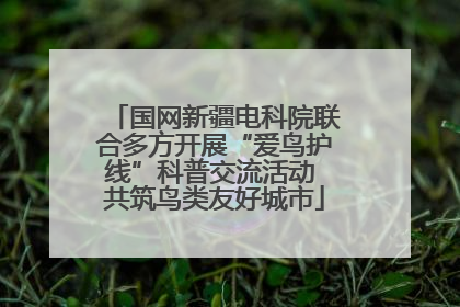 国网新疆电科院联合多方开展“爱鸟护线”科普交流活动 共筑鸟类友好城市