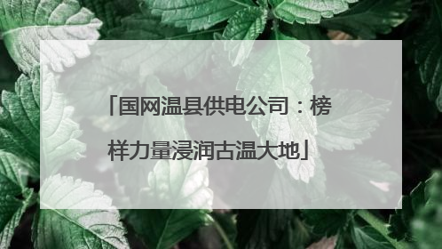 国网温县供电公司：榜样力量浸润古温大地