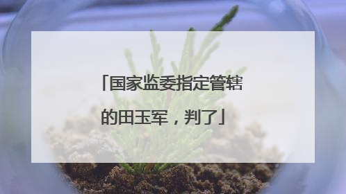 国家监委指定管辖的田玉军，判了