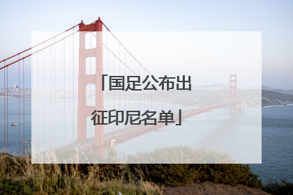 国足公布出征印尼名单