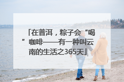 在普洱，粽子会“喝”咖啡——有一种叫云南的生活之365天