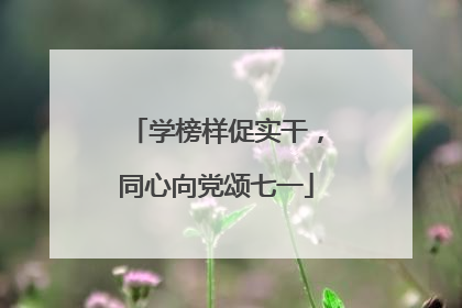 学榜样促实干，同心向党颂七一