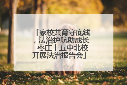 家校共育守底线，法治护航助成长—枣庄十五中北校开展法治报告会