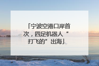 宁波空港口岸首次，四足机器人“打飞的”出海