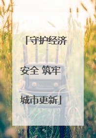 守护经济安全 筑牢城市更新