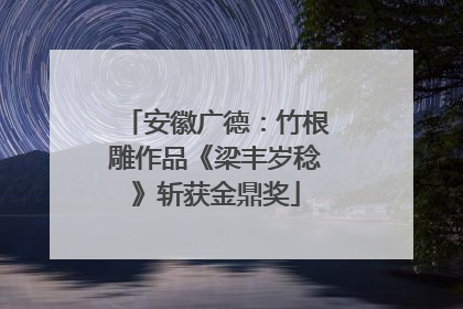安徽广德：竹根雕作品《梁丰岁稔》斩获金鼎奖