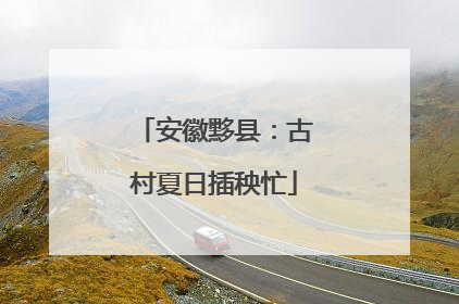 安徽黟县：古村夏日插秧忙
