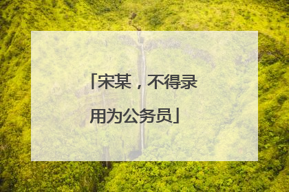 宋某，不得录用为公务员
