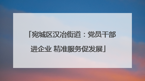 宛城区汉冶街道：党员干部进企业 精准服务促发展