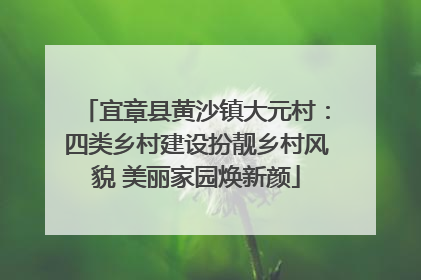 宜章县黄沙镇大元村：四类乡村建设扮靓乡村风貌 美丽家园焕新颜