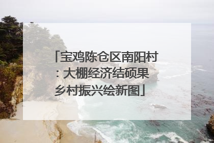 宝鸡陈仓区南阳村：大棚经济结硕果 乡村振兴绘新图