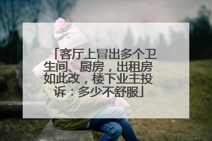 客厅上冒出多个卫生间、厨房，出租房如此改，楼下业主投诉：多少不舒服