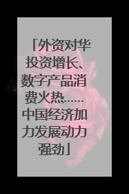 外资对华投资增长、数字产品消费火热……中国经济加力发展动力强劲