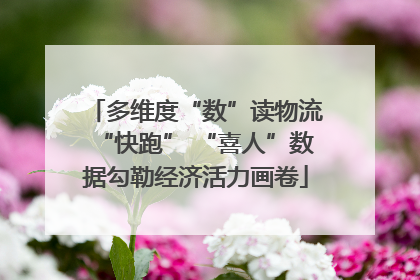 多维度“数”读物流“快跑” “喜人”数据勾勒经济活力画卷