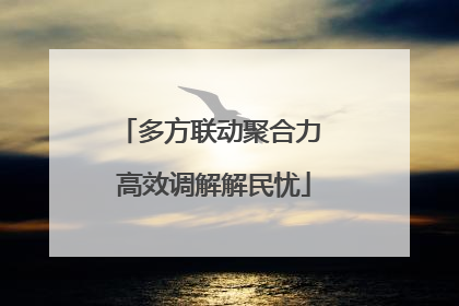 多方联动聚合力 高效调解解民忧