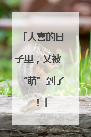 大喜的日子里，又被“萌”到了！