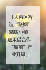 大湾区智造“联姻”精铸小镇 嘉禾借合作“破茧”产业升级
