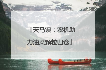 天马镇：农机助力油菜颗粒归仓