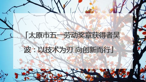 太原市五一劳动奖章获得者吴波：以技术为刃 向创新而行