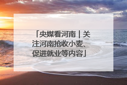 央媒看河南｜关注河南抢收小麦、促进就业等内容