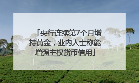 央行连续第7个月增持黄金，业内人士称能增强主权货币信用