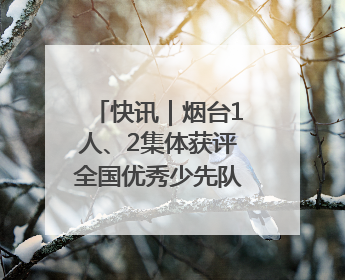 快讯｜烟台1人、2集体获评全国优秀少先队辅导员、集体荣誉称号