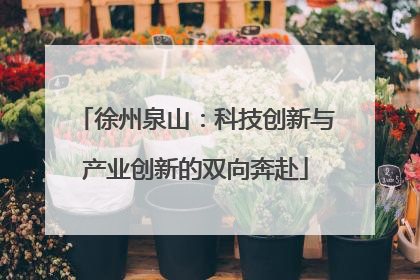 徐州泉山：科技创新与产业创新的双向奔赴