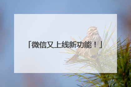 微信又上线新功能！